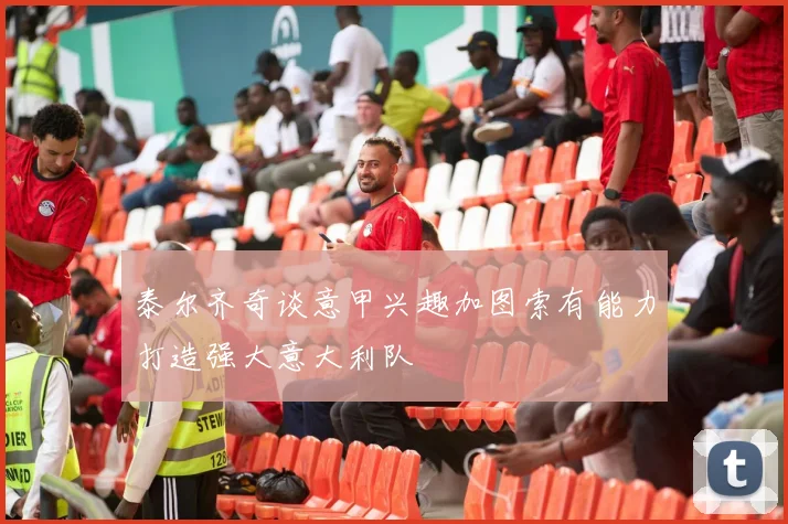 泰尔齐奇谈意甲兴趣加图索有能力打造强大意大利队
