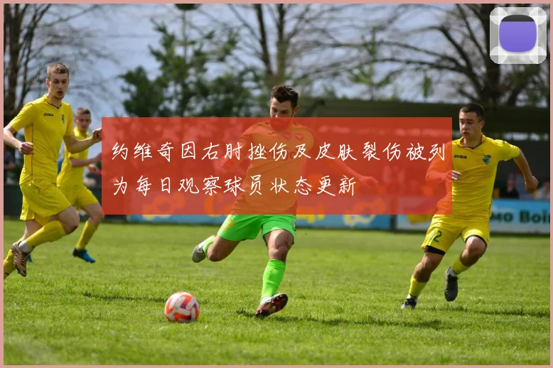 约维奇因右肘挫伤及皮肤裂伤被列为每日观察球员状态更新