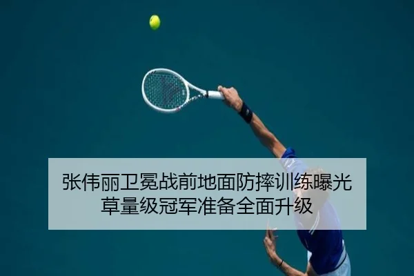 张伟丽卫冕战前地面防摔训练曝光 草量级冠军准备全面升级 | 3377Sports